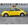 VW Beetle