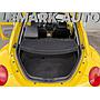 VW Beetle